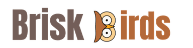 Brisk Birds
