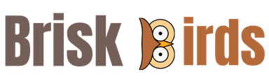 Brisk Birds